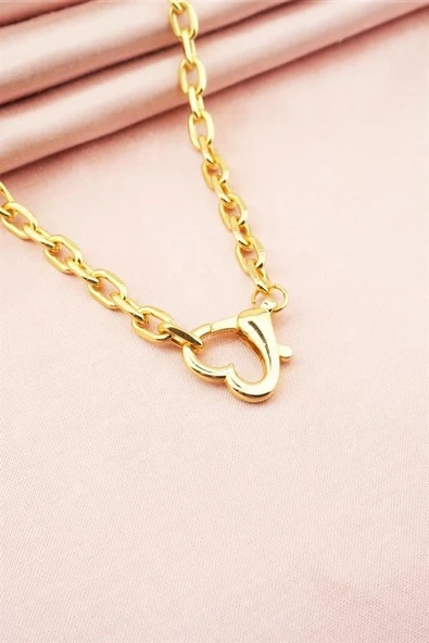 Kadın 40 Cm Kalp Model Kilit Detaylı Kolye - Resim 2