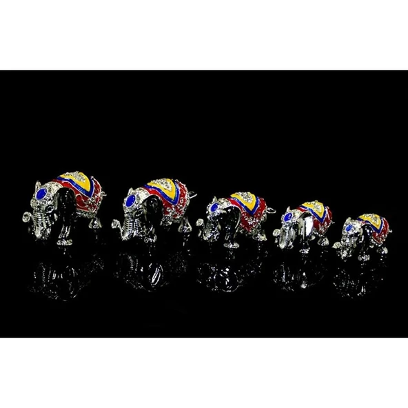 5 Li Fil Seti Biblo ürün görseli 1