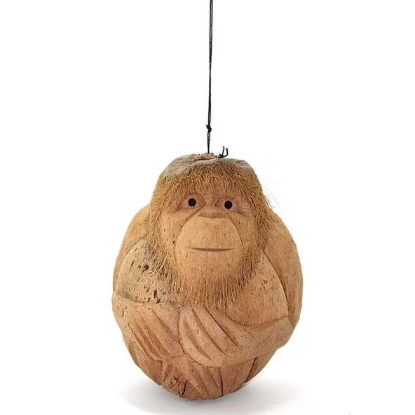 Coconat Maymun Büstü - Resim 2