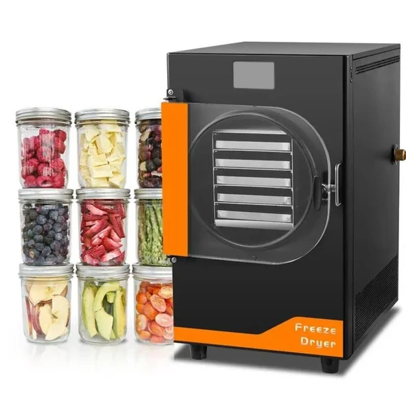 Dalle DFD-10 Yüksek Teknolojili Freeze Dryer Dondurarak Kurutma Fırını - Liyofilizatör ürün görseli