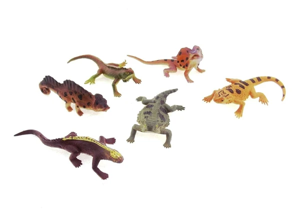 Model Sürüngen Hayvanlar - Resim 4