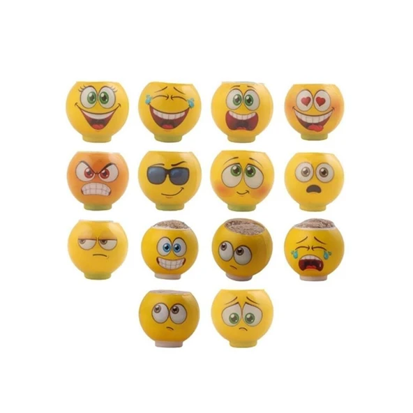 3321 KRAL ŞAKİR ÇİM ADAM KUTULU -1 adet stokta olan gönderilir ürün görseli 1