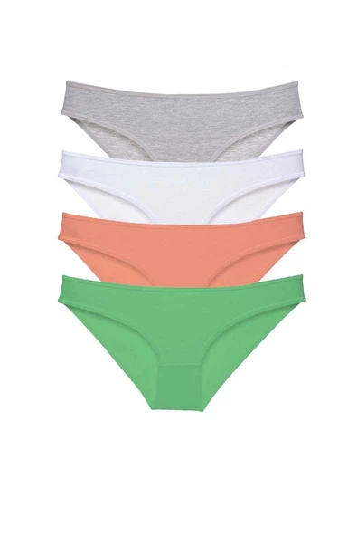 4 Adet Süper Eko Set Likralı Kadın Slip Külot Gri Beyaz Pudra Yeşil ürün görseli