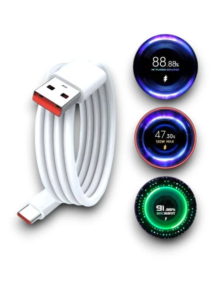 120W ŞARJ ALETİ - Resim 3