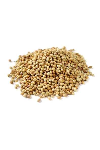 Kişniş Çekilmiş Toz Deluxe Seri Organik Lezzetli 250 Gr - 2