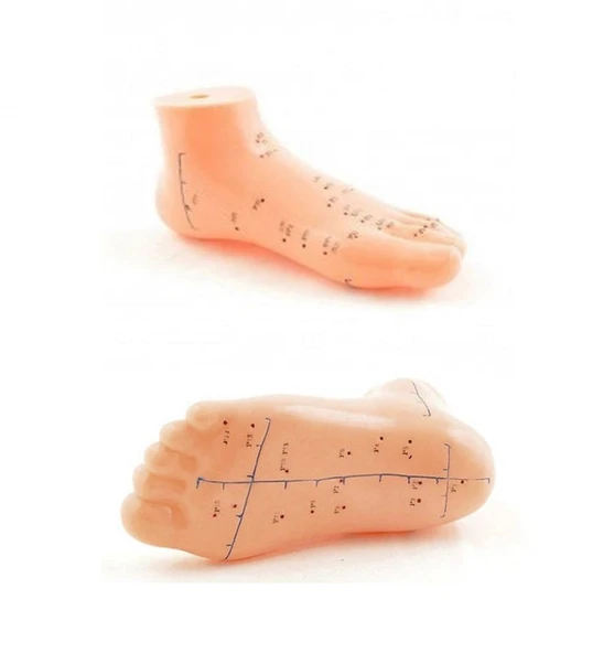 Ayak  Maketi Akupunktur Noktaları - Resim 2