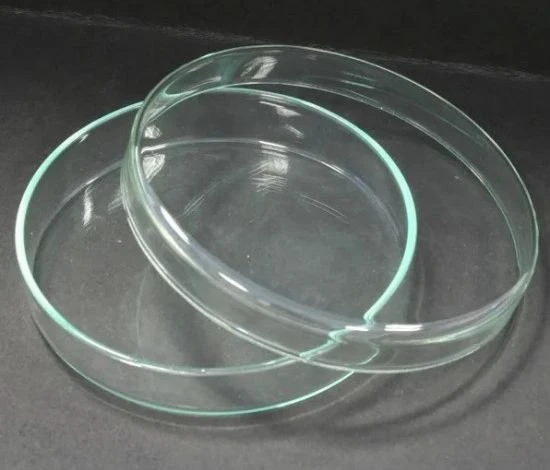 Petri Kabı Cam 60 x 15 MM 1 Adet - 1
