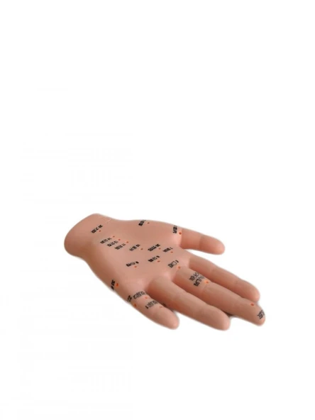 El Maketi Akupunktur Noktaları 835 - Resim 4