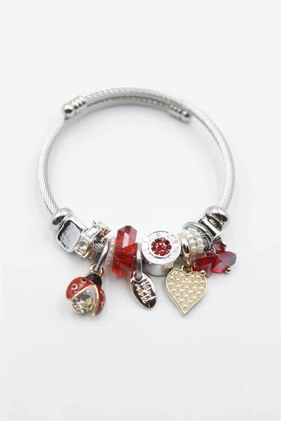 Uğur Böceği Charmlı Bilezik - Kırmızı - Resim 2