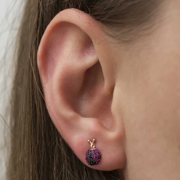 Gümüş Uğur Böceği Küpe - Resim 3