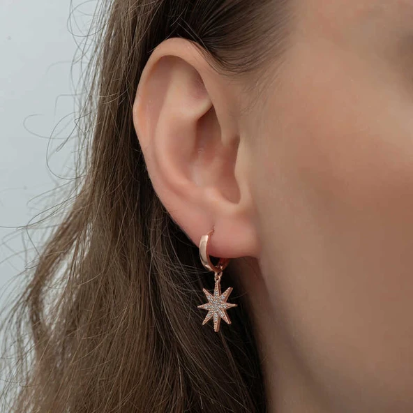 Gümüş Rose Sallantılı Kutup Yıldızı Kadın Küpe - Resim 4