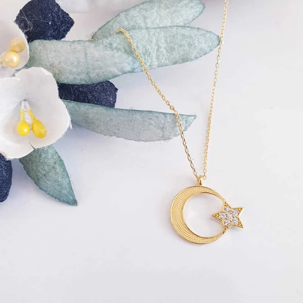 925 Ayar Gümüş Gold Ay Yıldız Kadın Kolye ürün görseli 1