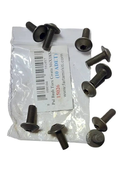 Pul Başlı Torx Cıvata M6X18X16 (10 ADET) 15026