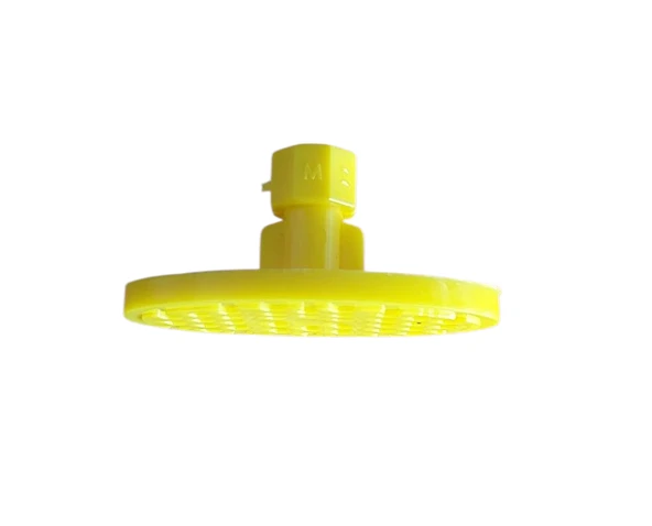 20714 Öpücük oval düz 20714 ürün görseli