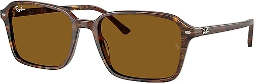 Ray-Ban Raimond 2231 141833 Brown Güneş Gözlüğü ürün görseli