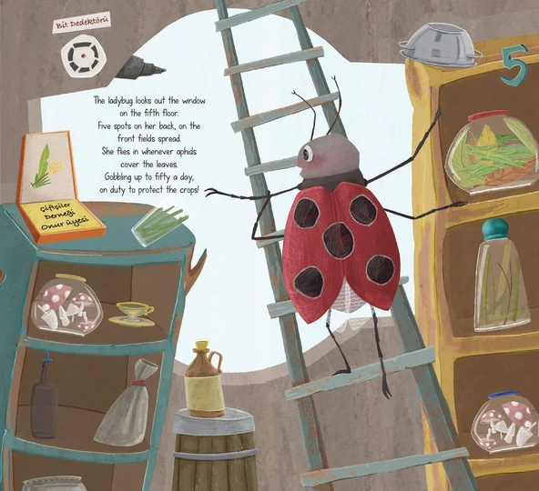 BÖCEK ASANSÖRÜ - Resim 4