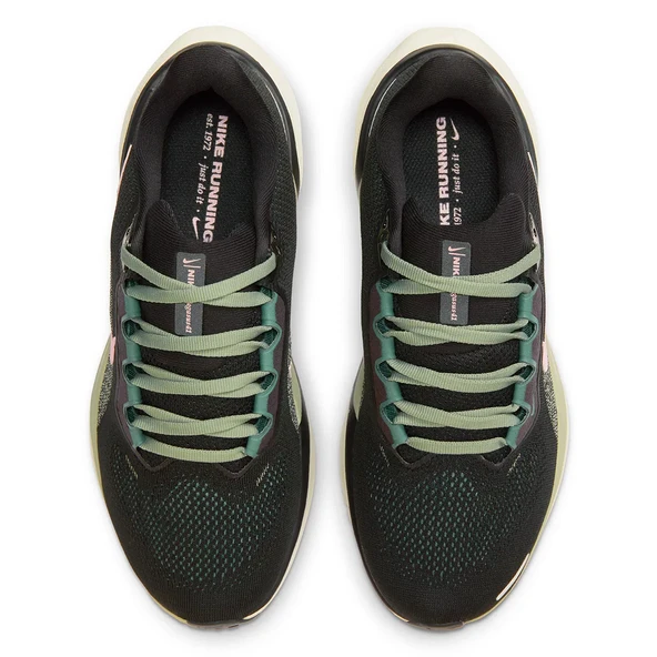 Nike W Air Zoom Pegasus 41 Kadın Siyah Koşu Ayakkabısı FD2723-009 - Resim 3