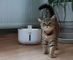 fakir PetPard Ultra Sessiz Akıllı Kedi & Köpek Su Pınarı - Resim 4