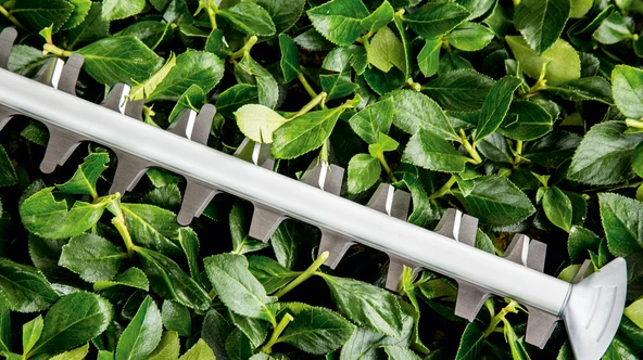 BOSCH Universal HedgeCut 60 Çit Kesme Makinası - Resim 4