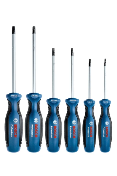 BOSCH Profesyonel 6 Parça Torx Tornavida Takımı (1600A01V09) ürün görseli