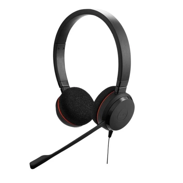 Jabra Evolve 20 Duo USB-C/A MS Mikrofonlu Kulak Üstü Kulaklık - 2