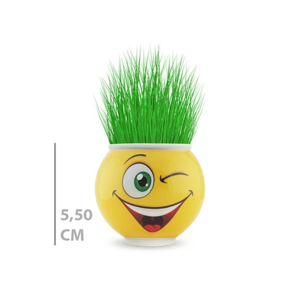 Çim Adam Saksı Emoji Figürlü 1 Adet - Resim 3