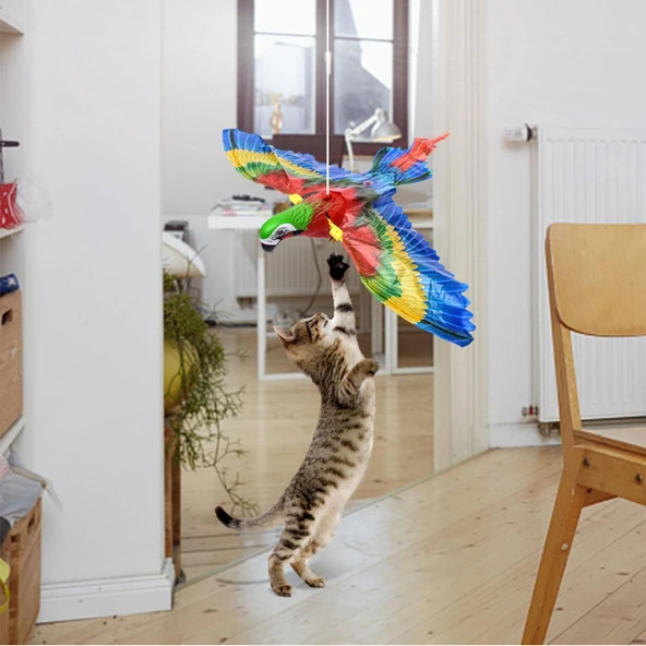 Periboia Uçan Papağan Kedi Oyuncağı