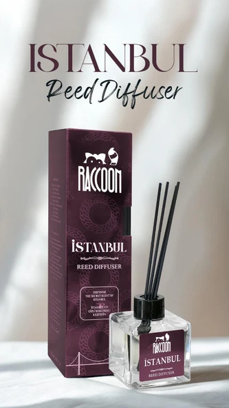 İSTANBUL ÇUBUKLU  ORTAM KOKUSU ürün görseli