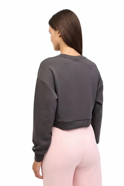 Lumberjack Arat Yog1-7 Yog1 0 Yaka Kadin Sweat - Antrasit - Resim 3