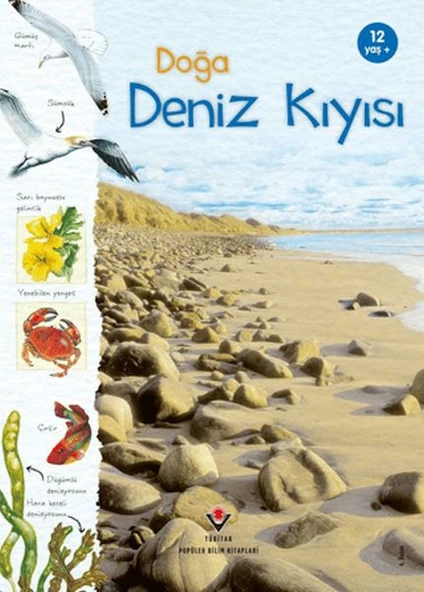 Doğa Deniz Kıyısı ürün görseli 1
