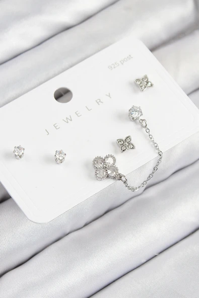 Pirinç Zirkon Taşlı Yonca Model Gümüş Renk 925 Ayar Gümüş Çivi Kadın Küpe Set - TJ-BKP11157 ürün görseli
