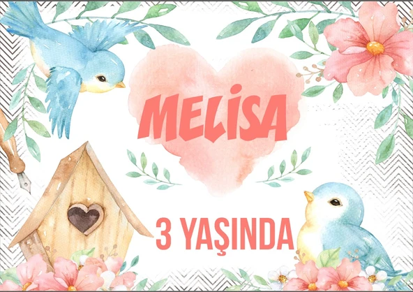 Kuş Temalı Doğum Günü Afişi - 100x150 Cm ürün görseli