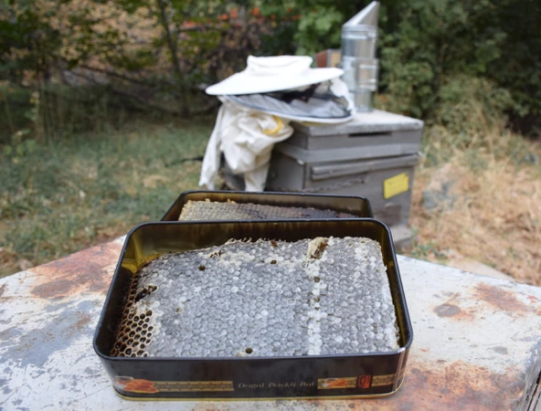 Doğal Petek Bal 1 kg