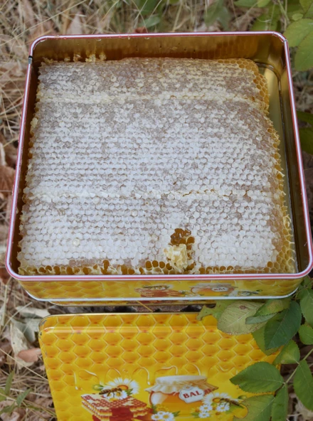 Doğal Petek Bal 1 kg - 6