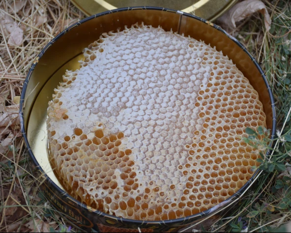 Şehri Şemdinli Doğal Karakovan Balı 1 kg - 2
