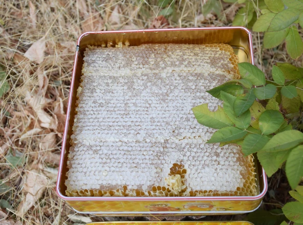 Doğal Petek Bal 1 kg - 5