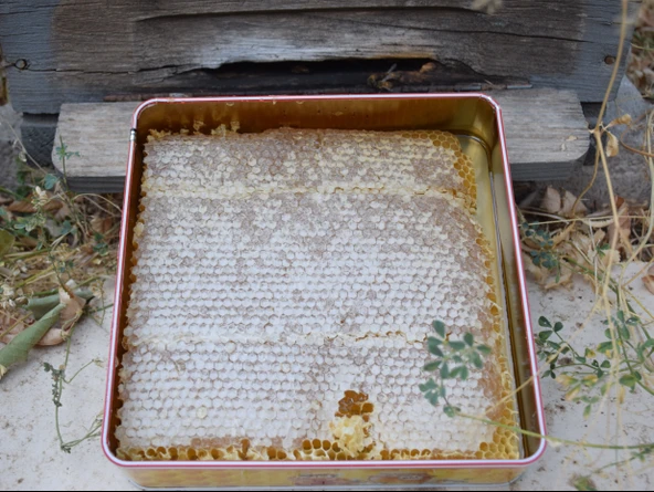 Doğal Petek Bal 1 kg - 7