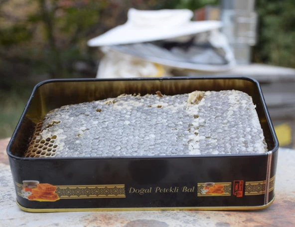 Doğal Petek Bal 1 kg - 8