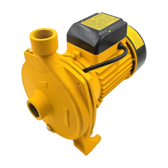 Fixonic B.H.D. CPM158 750W/1Hp Su Motoru/Su Dinamosu - Resim 3