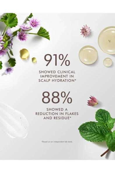 Moroccanoil Scalp Saç Derisi Dengeleyici Bakım Kremi 250 ml - Resim 4