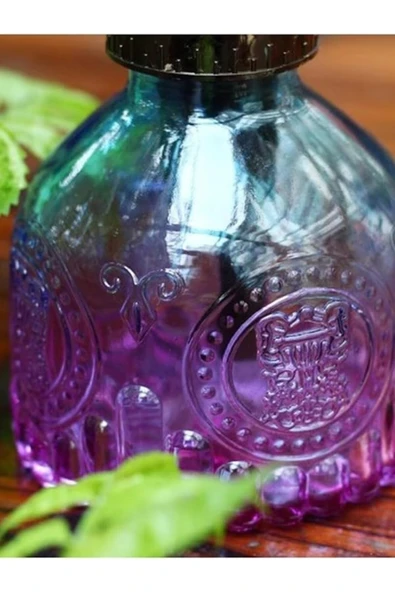 Şık Tasarımlı Ev Bahçe Saksı Çiçeklerine Özel Cam Bitki Sulama Fıskiyesi Kolonya Şişesi 200 ML Mor - 3