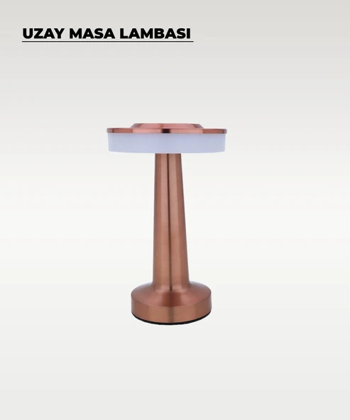 Rose Uzay Masa Lambası - Dokunmatik - 3 Renk Işık - Resim 3