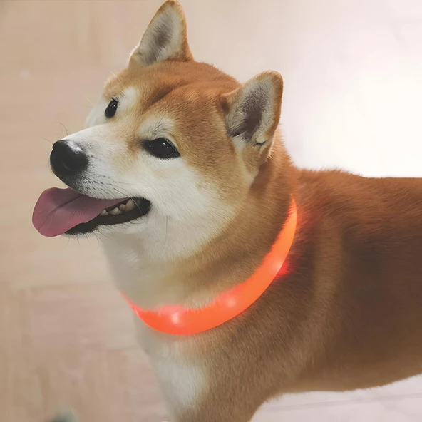 M-Pets Flash Ledli Boyun Tasması Neon Turuncu S - 2