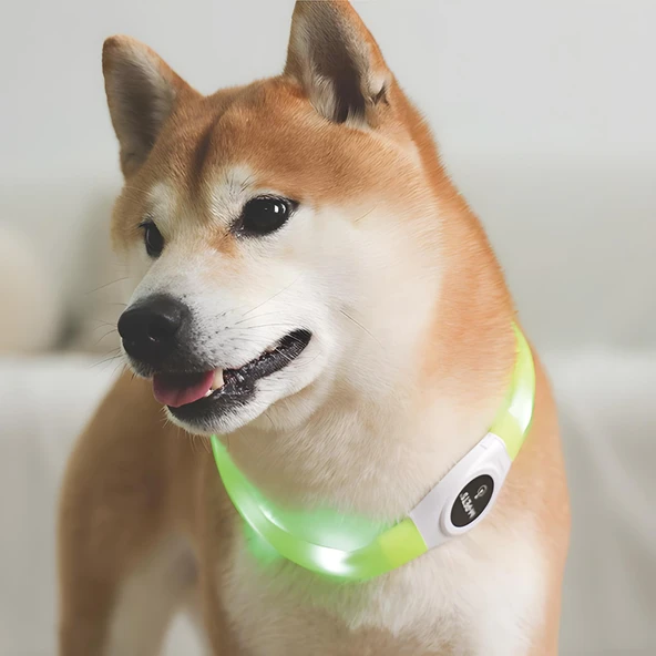 M-Pets Flash Ledli Boyun Tasması Neon Yeşil S - 2
