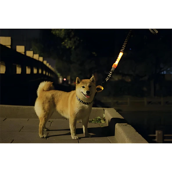 M-Pets Flash Ledli Band Turuncu - 3