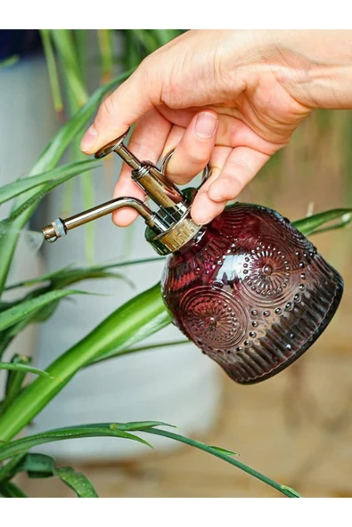 Şık Tasarımlı Ev Bahçe Saksı Çiçeklerine Özel Cam Bitki Sulama Fıskiyesi Kolonya Şişesi 200ML Kırmzı - 3