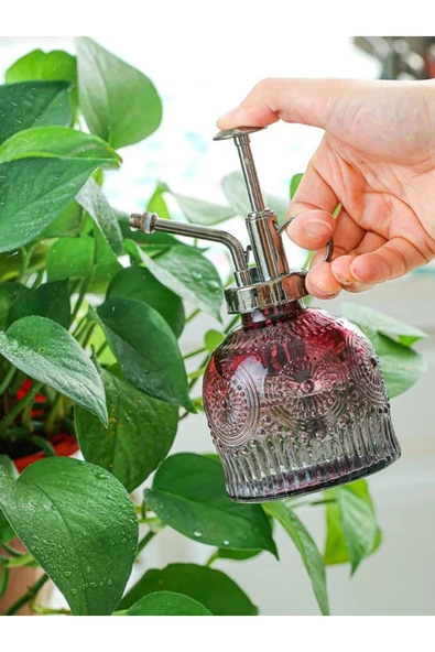 Şık Tasarımlı Ev Bahçe Saksı Çiçeklerine Özel Cam Bitki Sulama Fıskiyesi Kolonya Şişesi 200ML Kırmzı - 2