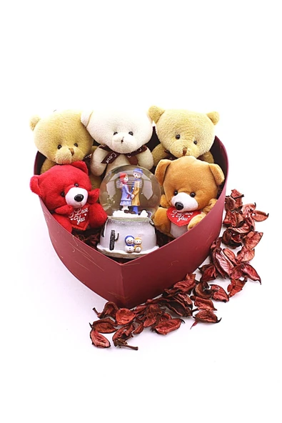 Seni Seviyorum Hediye Kutusu Sevgiliye Özel Romantik Kalpli Kutuda Ayıcık ve Kar Küresi Hediye Seti - Resim 5