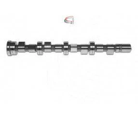 EKSANTRİK MİLİ EMME DUCATO-MASTER 2.3 JTD  504096185 ürün görseli