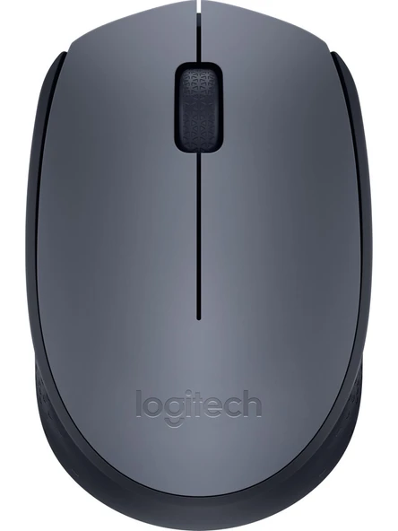 Logitech M170 910-004642 Optik Kablosuz Mouse